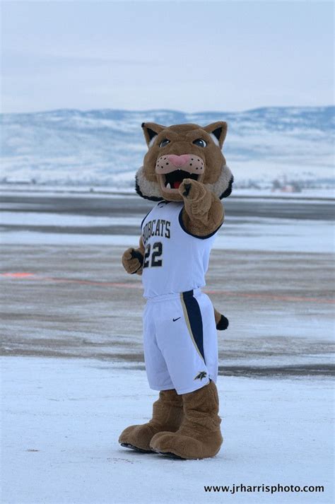 The Montana State Mascot: Engaging Fans and Building Community Spirit